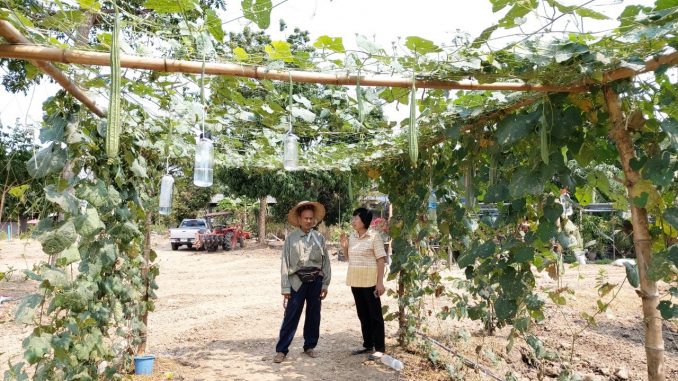 3363ติดตามเกษตรกรผู้ขอ gap_๒๐๐๓๐๓_0004